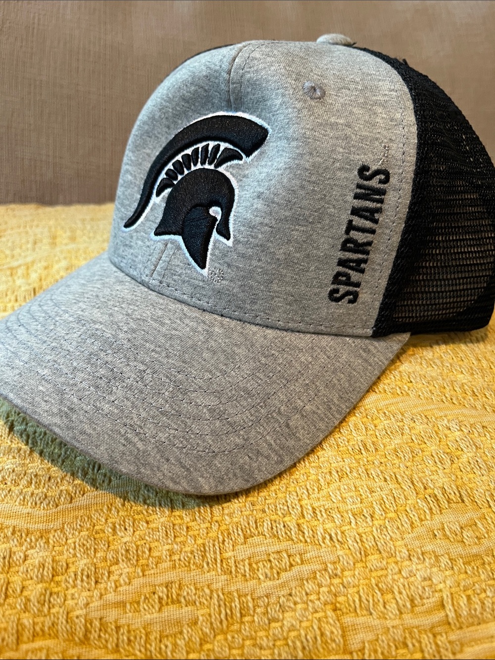 Michigan Spartans Grey & Black Trucker Cap